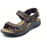 Sandalen IgI&amp;CO 7645022 Nabuk Ingrassato