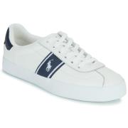 Lage Sneakers Polo Ralph Lauren COURT VLC PP-SNEAKERS-LOW TOP LACE