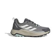 Lage Sneakers adidas Terrex Anylander R.Rdy
