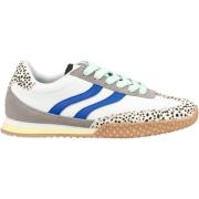 Lage Sneakers Gioseppo Sneaker