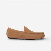 Bootschoenen UGG Ascot Slipper Chestnut