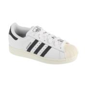 Lage Sneakers adidas Superstar