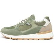Lage Sneakers NeroGiardini Colorado 556 T.Dragon 5105 Savana Edera T.N...