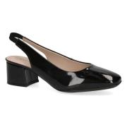 Ballerina's Caprice -