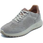 Lage Sneakers IgI&amp;CO 1118322 Scam.