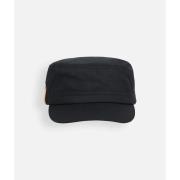 Pet Oxbow Pet ELISAMA