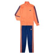 Trainingspak adidas -