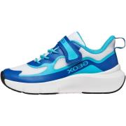 Lage Sneakers Geox 277693