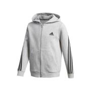 Trainingsjack adidas -