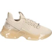 Lage Sneakers Steve Madden Sneaker