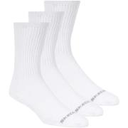 Sportsokken Skechers 3pk Unisex Non Terry Crew