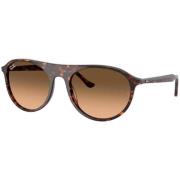 Zonnebril Ray-ban UNISEX 0RB2215 14293B