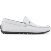 Mocassins Melluso U16017Q-255240