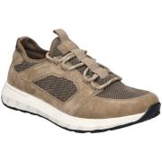 Lage Sneakers Josef Seibel -