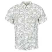 Overhemd Korte Mouw Deeluxe WILSON SH M opé