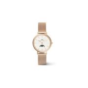 Horloge Daniel Wellington dw00100773