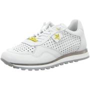 Lage Sneakers Cetti -
