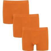 Boxers Suitable Toni Boxershorts 3er-Pack Orange