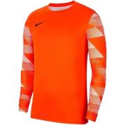 T-Shirt Lange Mouw Nike Dry Park IV JSY Jr LS