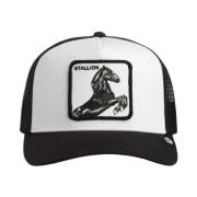 Pet Goorin Bros 101-2451 Dust