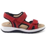 Sandalen Ganter -