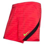 Korte Broek Nike Dri-Fit Strike