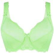 Voorgevormde bh Lingadore DAILY Beugel BH - Plus Size