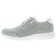 Lage Sneakers Solidus Halea