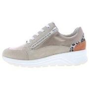 Lage Sneakers Solidus Holly