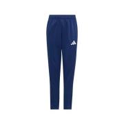 Trainingsbroek adidas SPODNIEADIDASENT26YJZ6549GRANAT