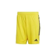 Korte Broek adidas Short Tiro 23 League Jaune