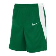 Korte Broek Nike Short Team Stock vert