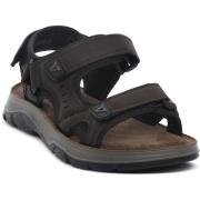 Sandalen Valleverde MARRONE SANDALO