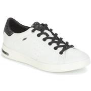 Lage Sneakers Geox JAYSEN
