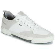 Lage Sneakers Geox KAVEN A