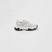 Lage Sneakers Roberto Cavalli 78RA3SC5SNEAKERSTELAESUEDE