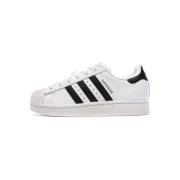 Lage Sneakers adidas -