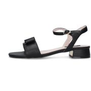 Sandalen Gattinoni PENJA1619WC