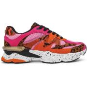 Lage Sneakers Steve Madden Sneaker