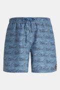 Protest Prtterton Beachshort Zwembroek Blauw