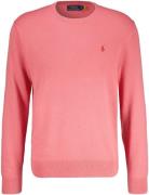 Polo Ralph Lauren Pullover Rood heren