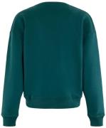 Anna Blue Sweater Blue Crew Groen dames