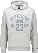 Superdry Hoodie Overhead Grijs heren