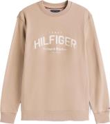 Tommy Hilfiger Trui Bruin heren
