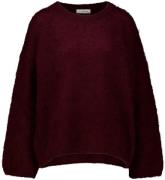 In Shape Trui Minne Bordeaux Rood dames