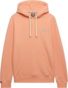 Superdry Hoodie  Oranje heren
