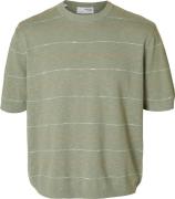 Selected Homme T-shirt Berg Sun Groen heren
