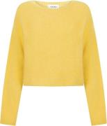 Aaiko Trui Feline Geel dames