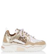 Pluto Leopard
