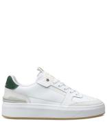 Endorsed Tennis